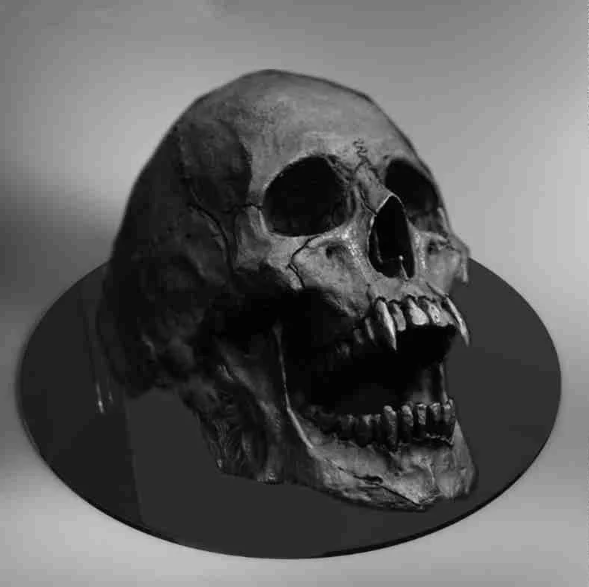 Dracula Skull Ring - Stainless Steel