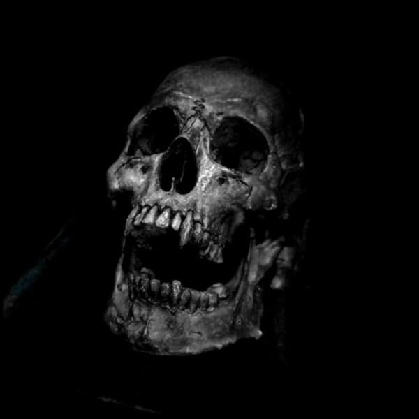 Dracula Skull Ring - Stainless Steel