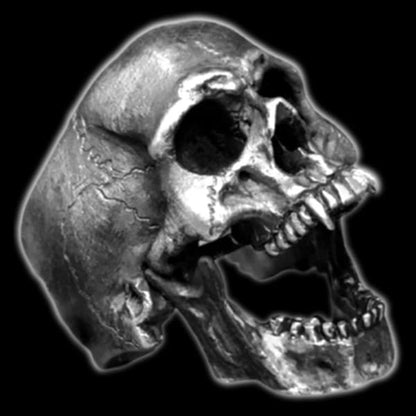 Dracula Skull Ring - Stainless Steel
