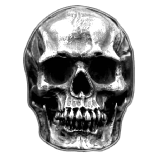 Large Skull Ring